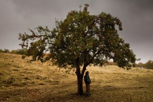 Sinema Tarihine İz Bırakmış Sanat Filmleri 30