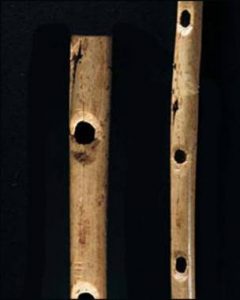 Müzik Aletlerinin Tarihi 10