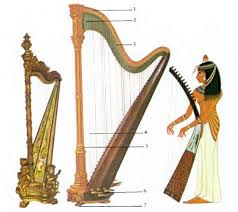 Müzik Aletlerinin Tarihi 12