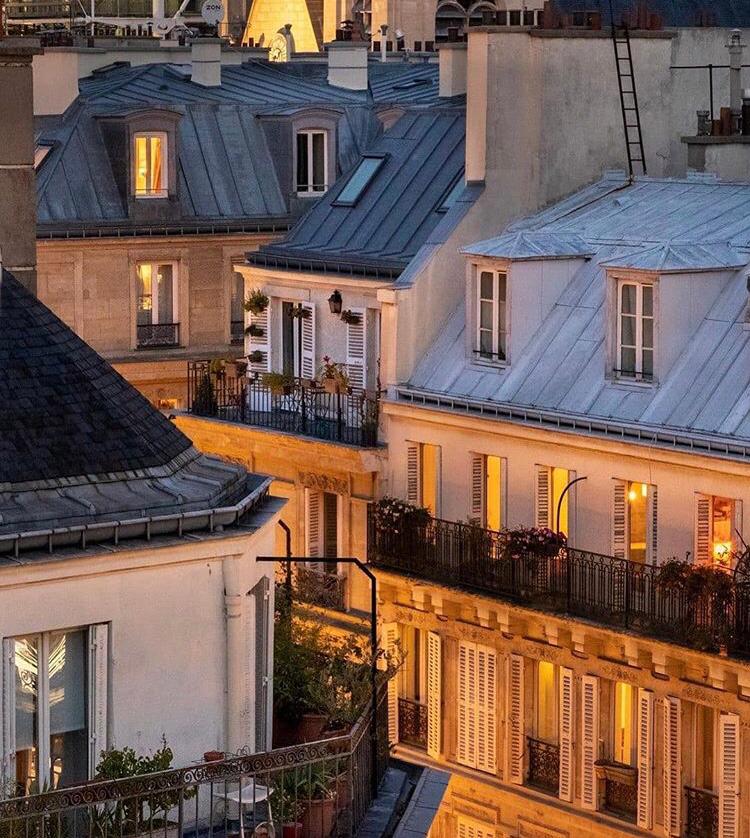 Kendini İyileştirmek İstiyorsan, Başkalarını İyileştir: Kirpinin Zarafeti 5