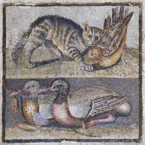Antik Roma'da "Kedi" Neden Önemliydi? 9 Mozaik Kedi, Arkeopolis