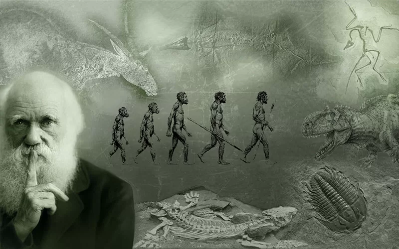 Evrim ve Sosyoloji: Herbert Spencer'ın Sosyal Darwinizm Doktrini 9