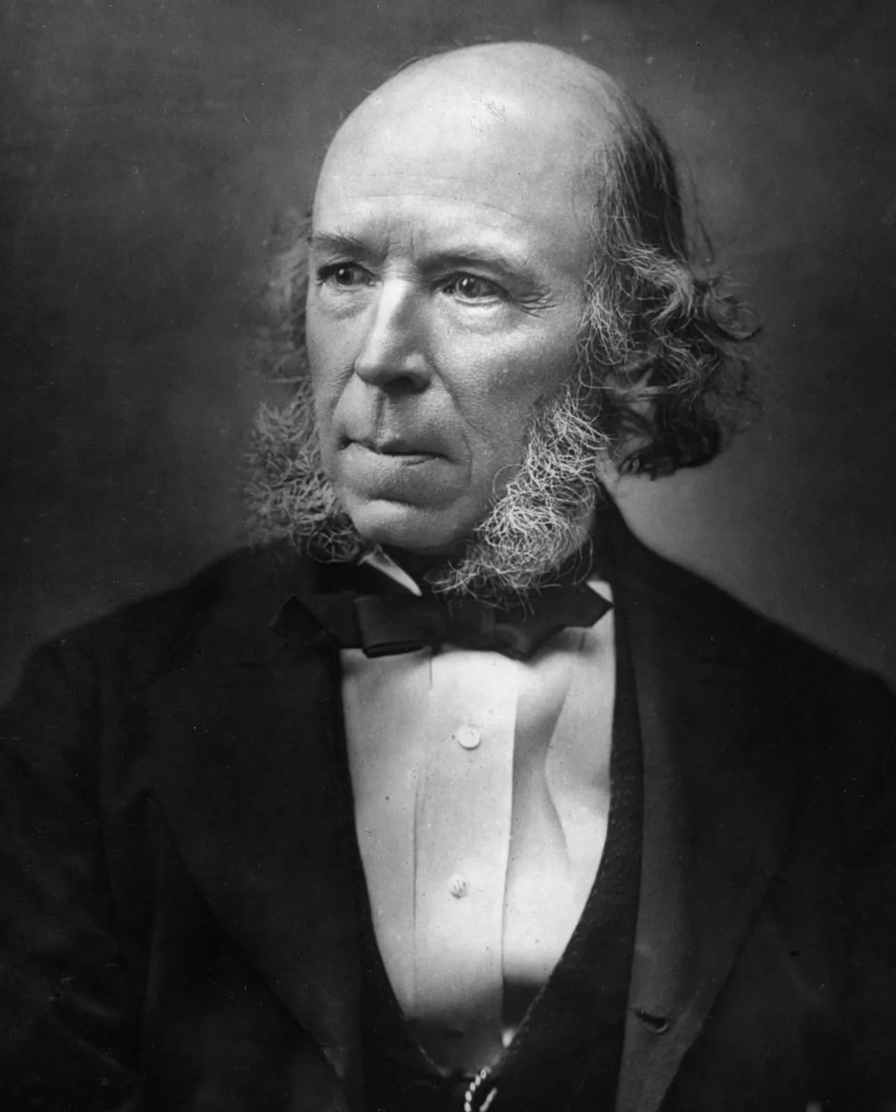 Evrim ve Sosyoloji: Herbert Spencer'ın Sosyal Darwinizm Doktrini 11