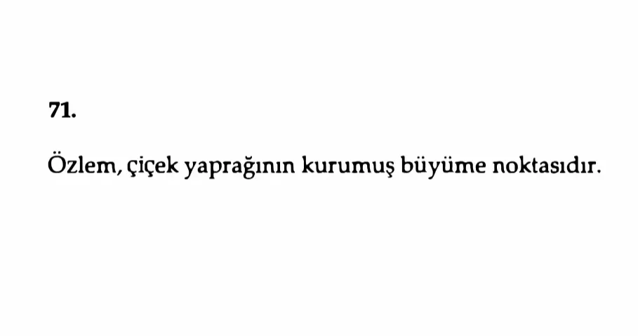 Oruç Aruoba’nın Yöntemiyle: Özlem Çekene Kılavuz 11 Kiraz çiçeğine ithafen...
