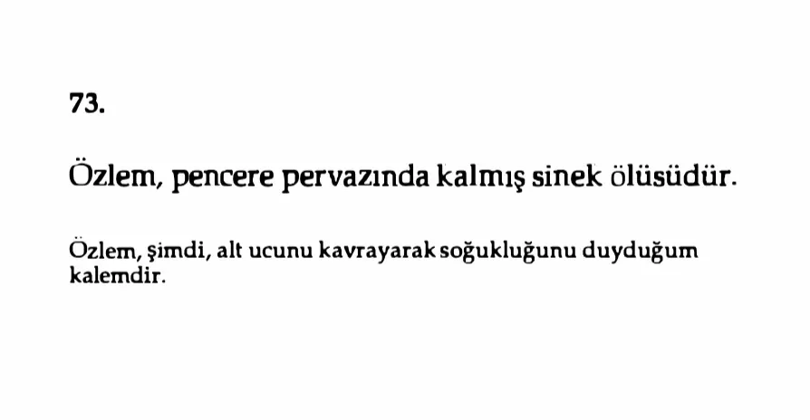 Oruç Aruoba’nın Yöntemiyle: Özlem Çekene Kılavuz 13