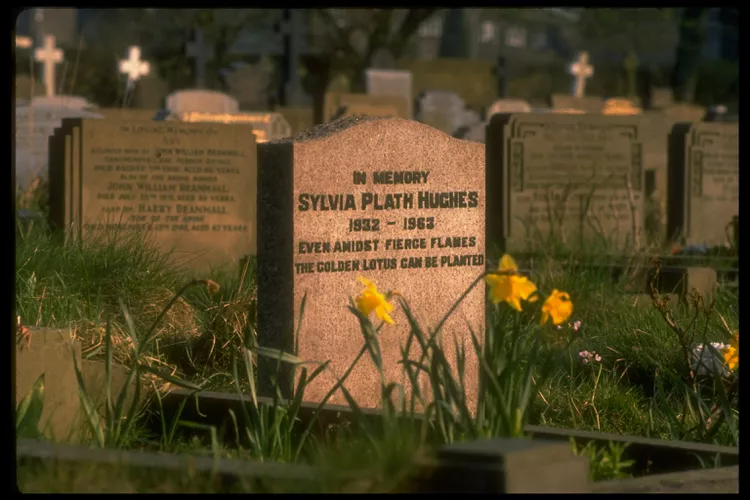 5 Farklı Sebeple Neden Sylvia Plath Okumalıyız? 12