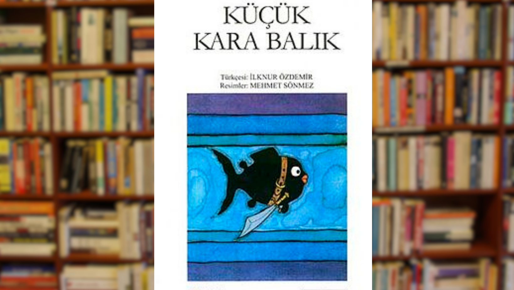 Küçük Kara Balık kitabı