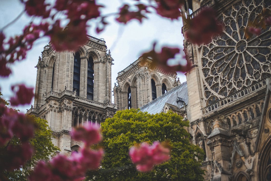 Notre Dame Katedrali 0 - Söylenti Dergi