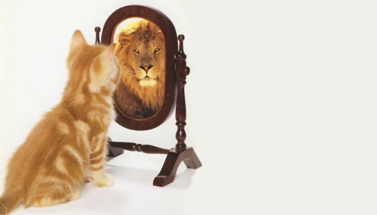 Dunning-Kruger Sendromu: Cahil Cesareti Nedir? 9