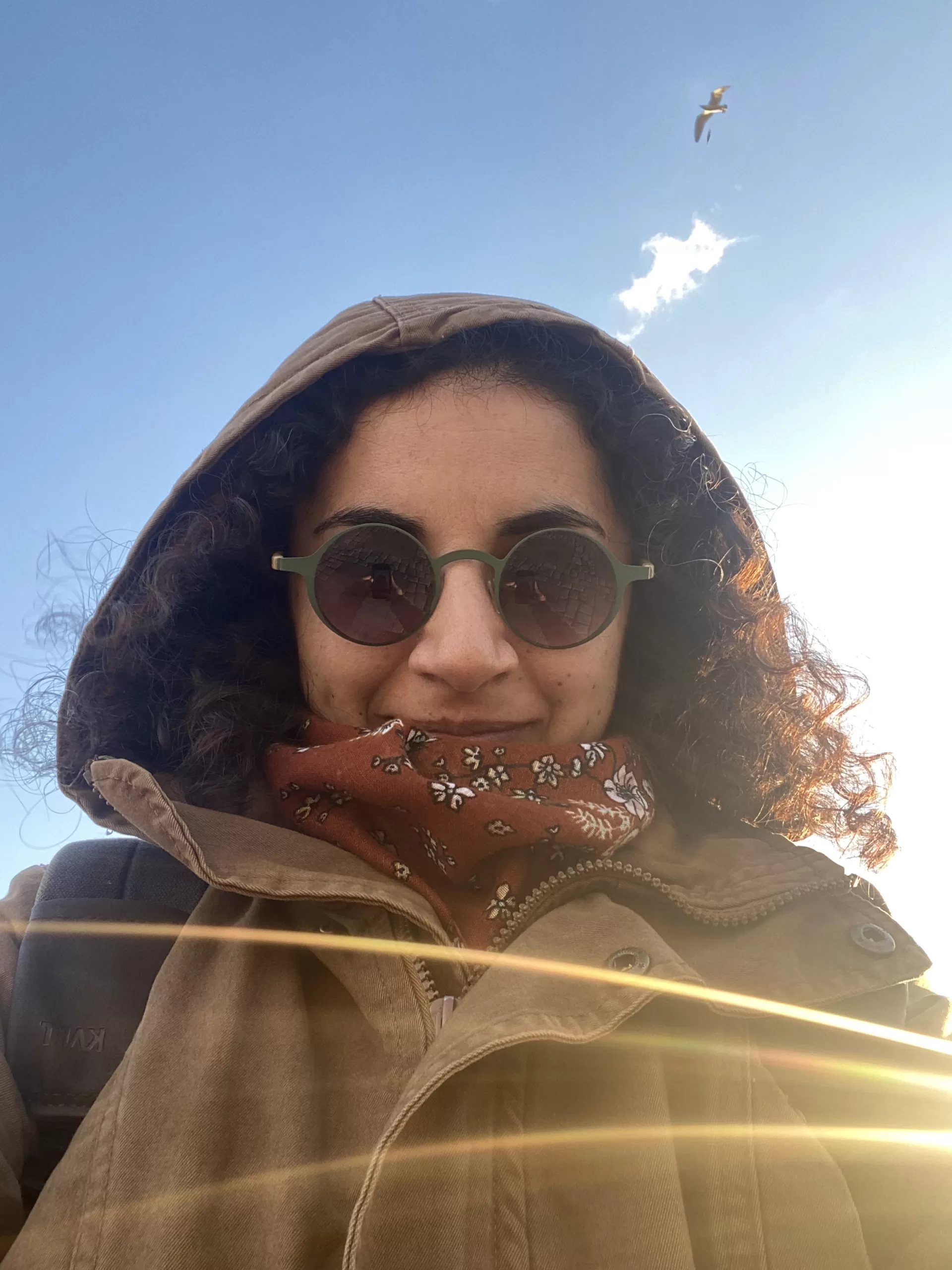 Gülçin Gümüşay