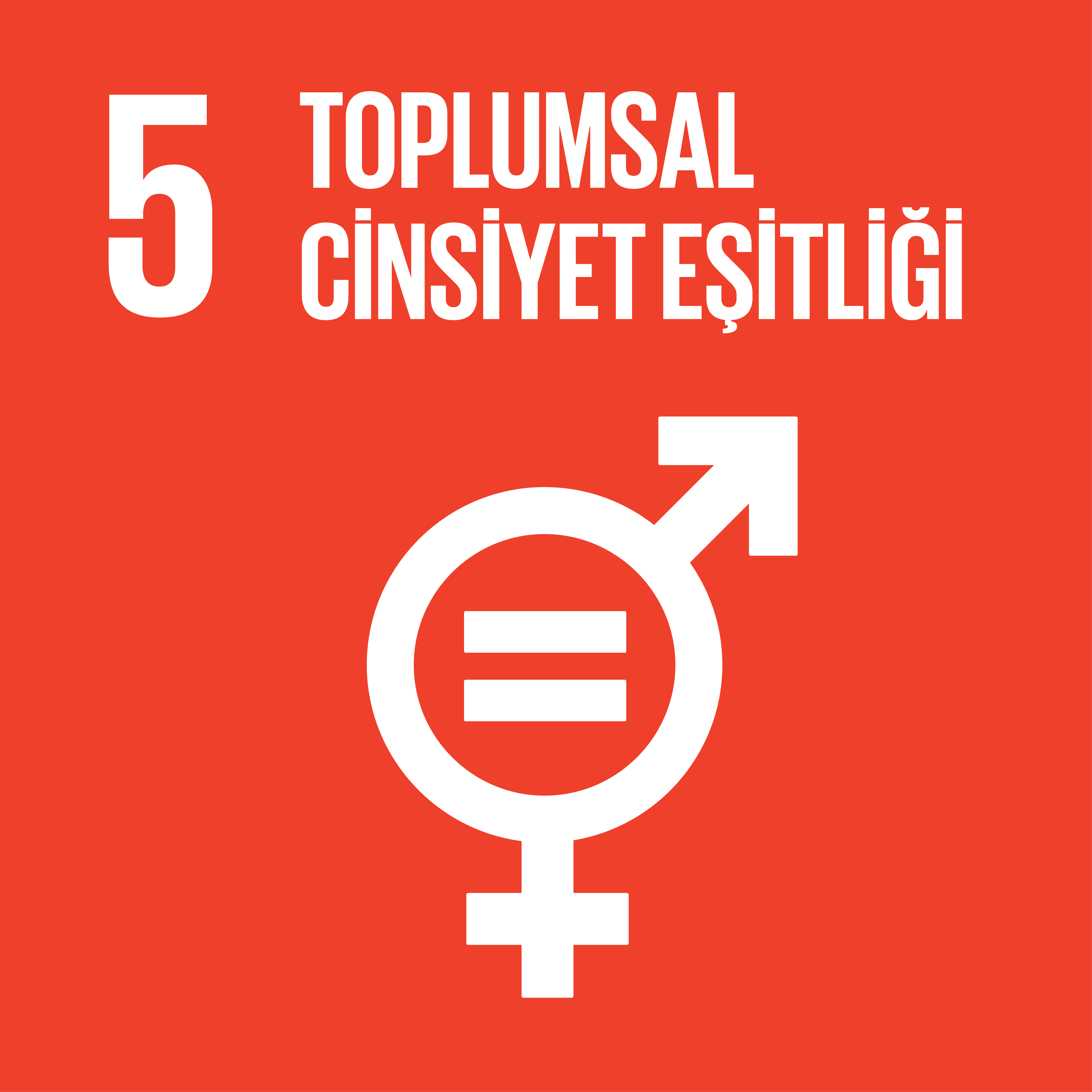 BM Sürdürülebilir Kalkınma Hedefleri ve Temel İlkeleri 23
