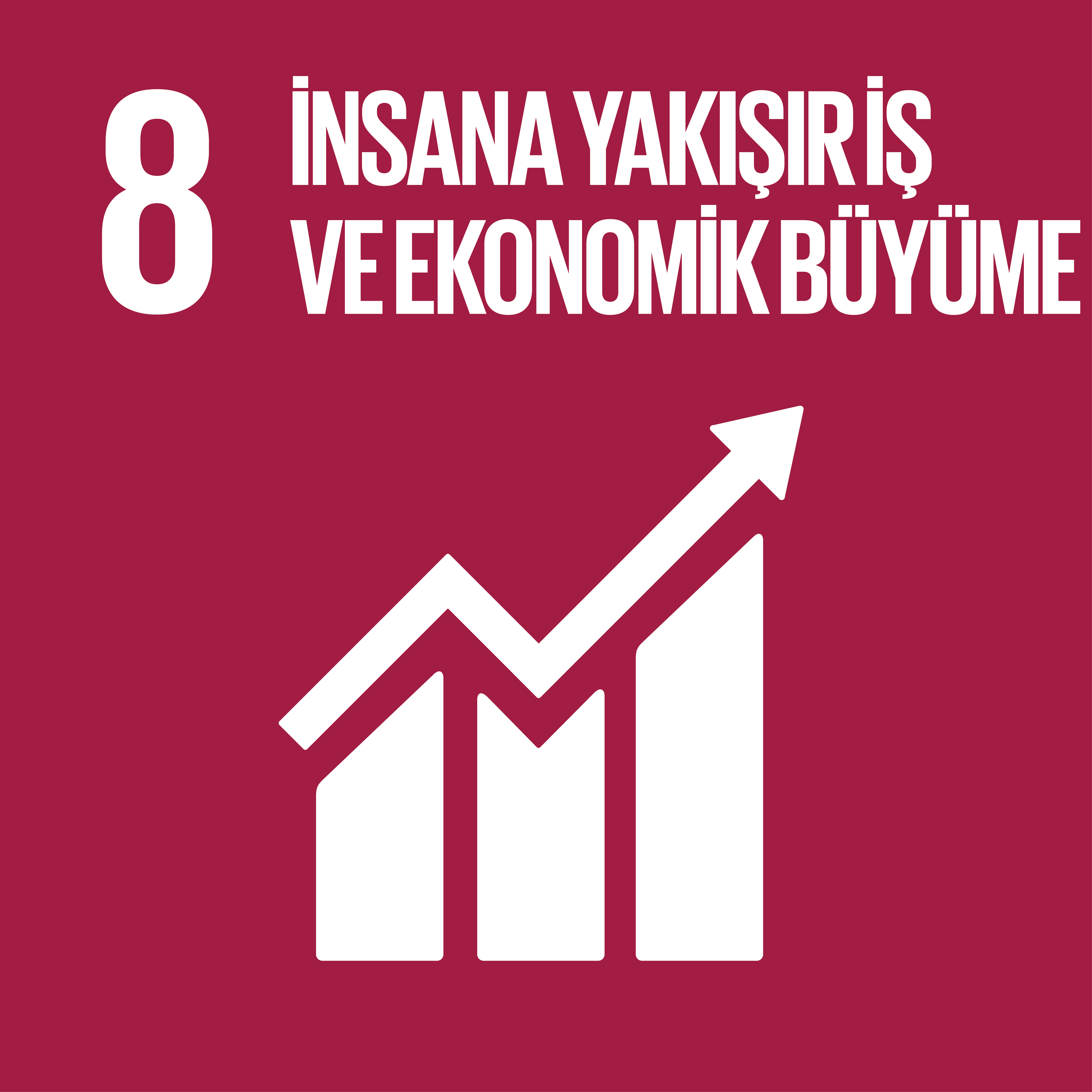 BM Sürdürülebilir Kalkınma Hedefleri ve Temel İlkeleri 26