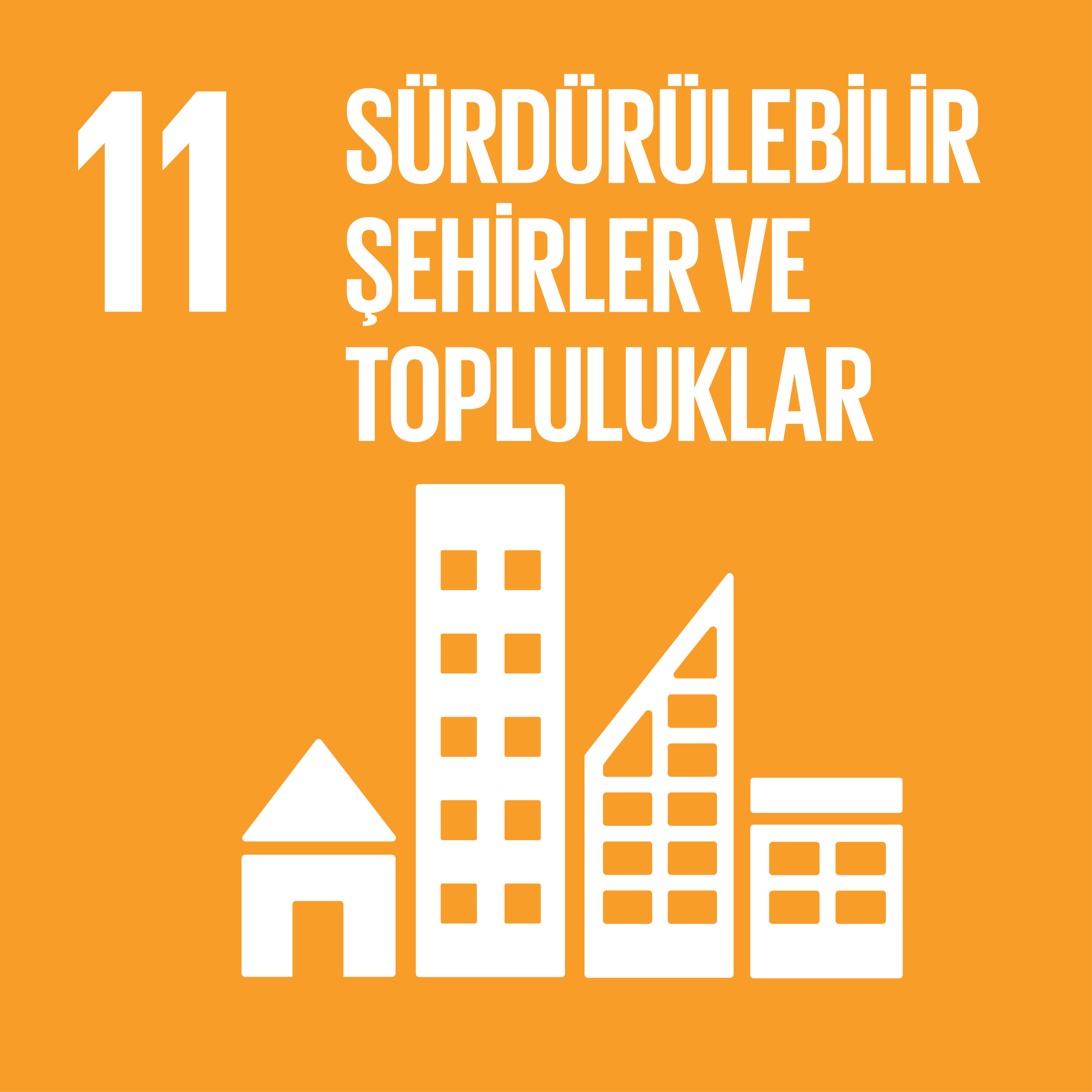 BM Sürdürülebilir Kalkınma Hedefleri ve Temel İlkeleri 29