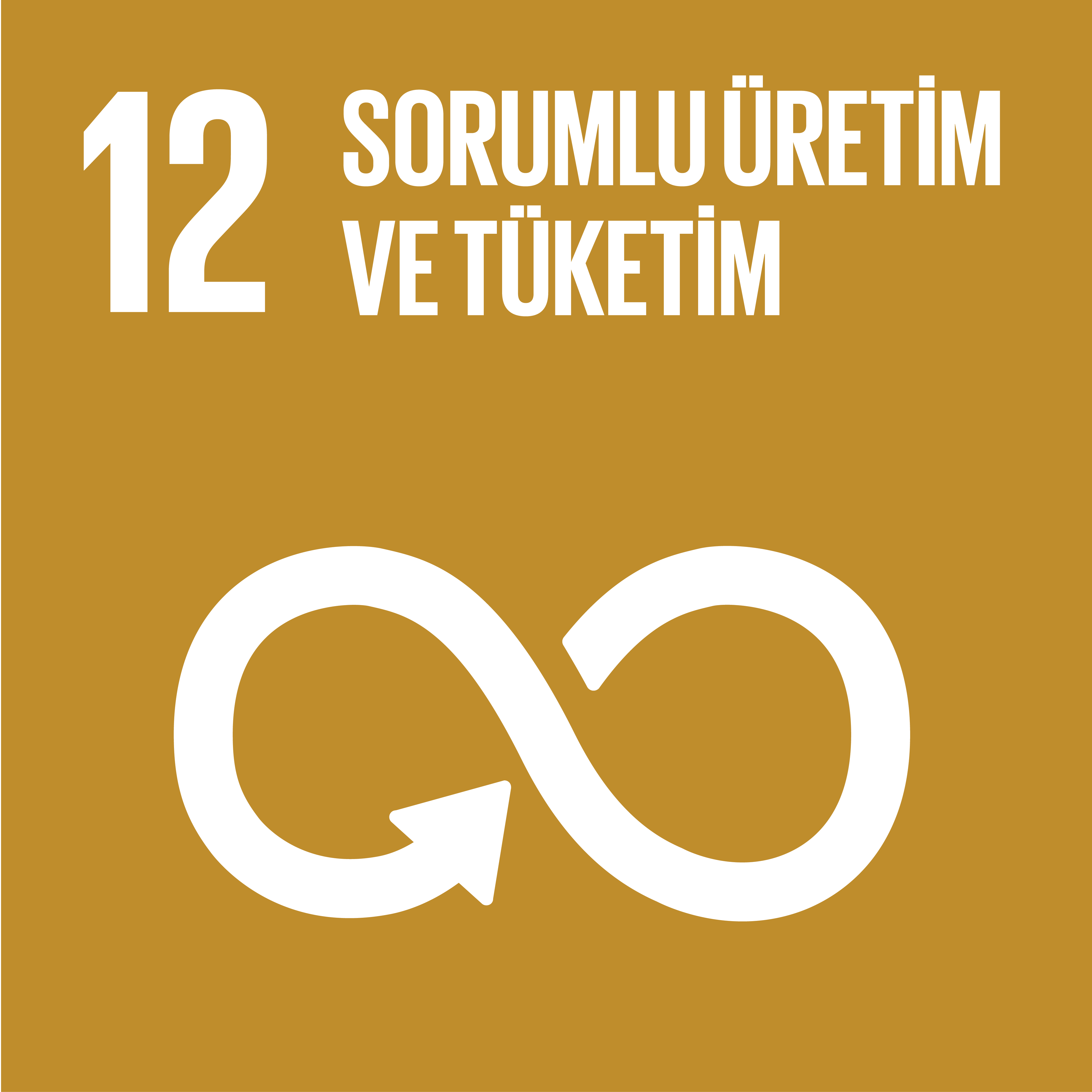 BM Sürdürülebilir Kalkınma Hedefleri ve Temel İlkeleri 30