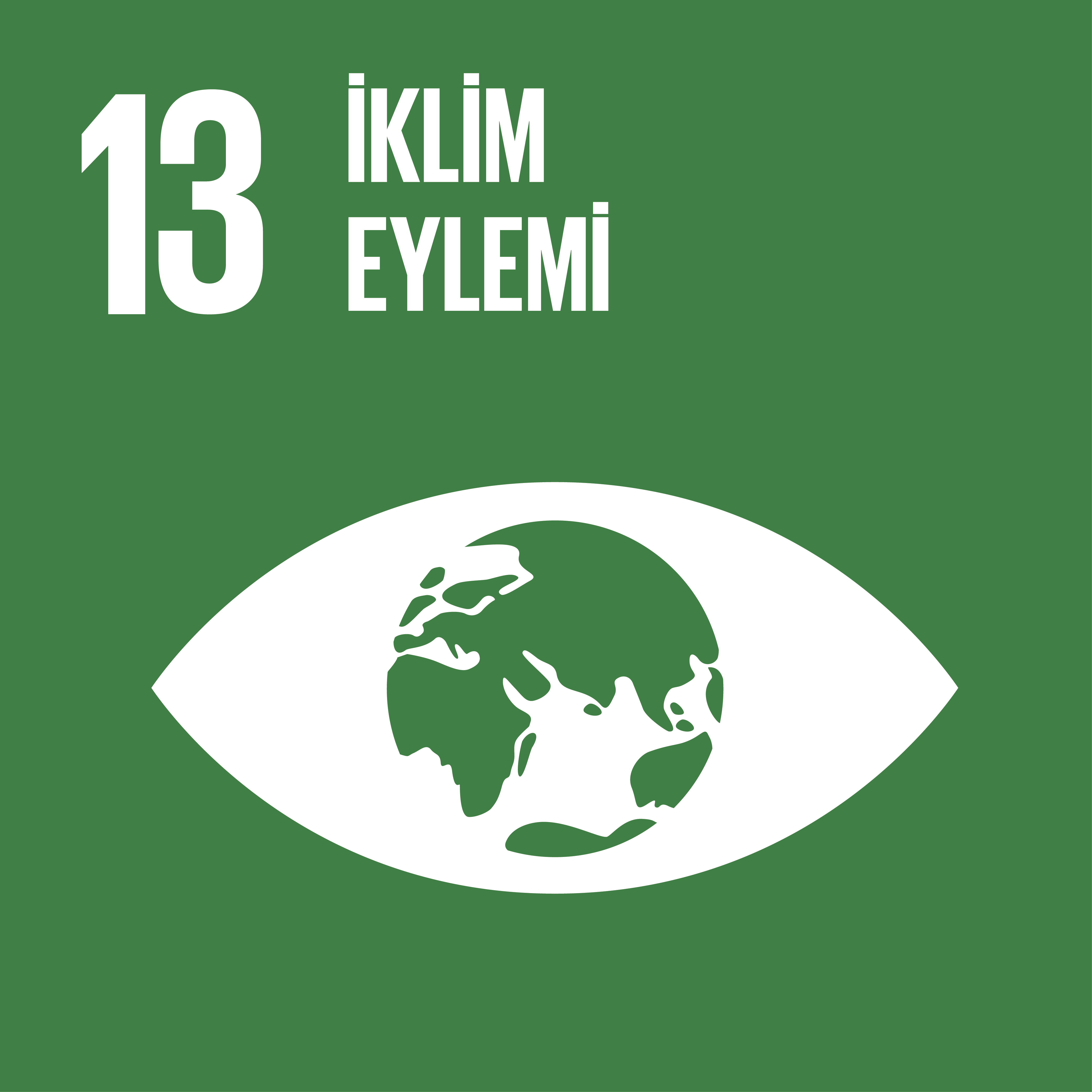 BM Sürdürülebilir Kalkınma Hedefleri ve Temel İlkeleri 31