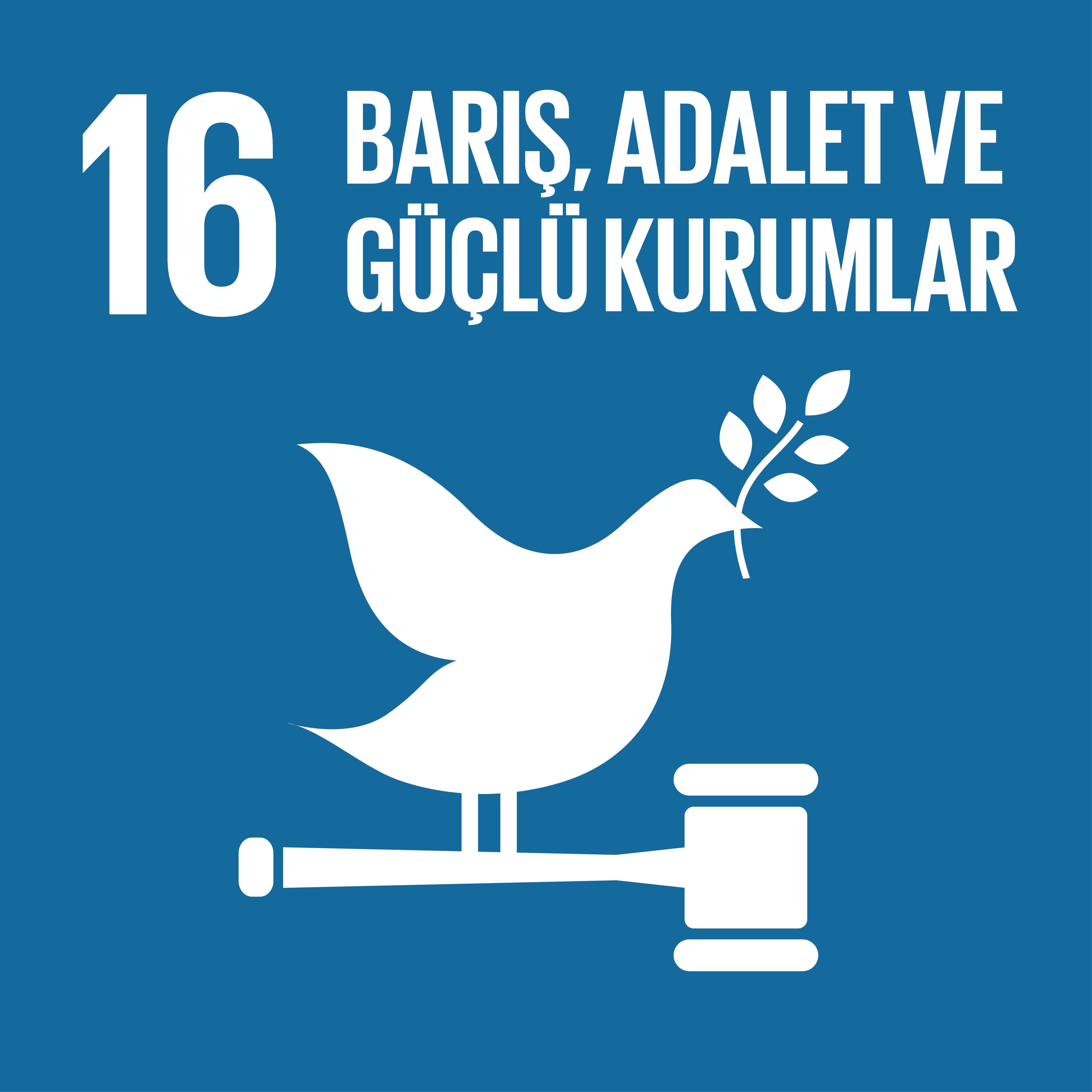BM Sürdürülebilir Kalkınma Hedefleri ve Temel İlkeleri 34