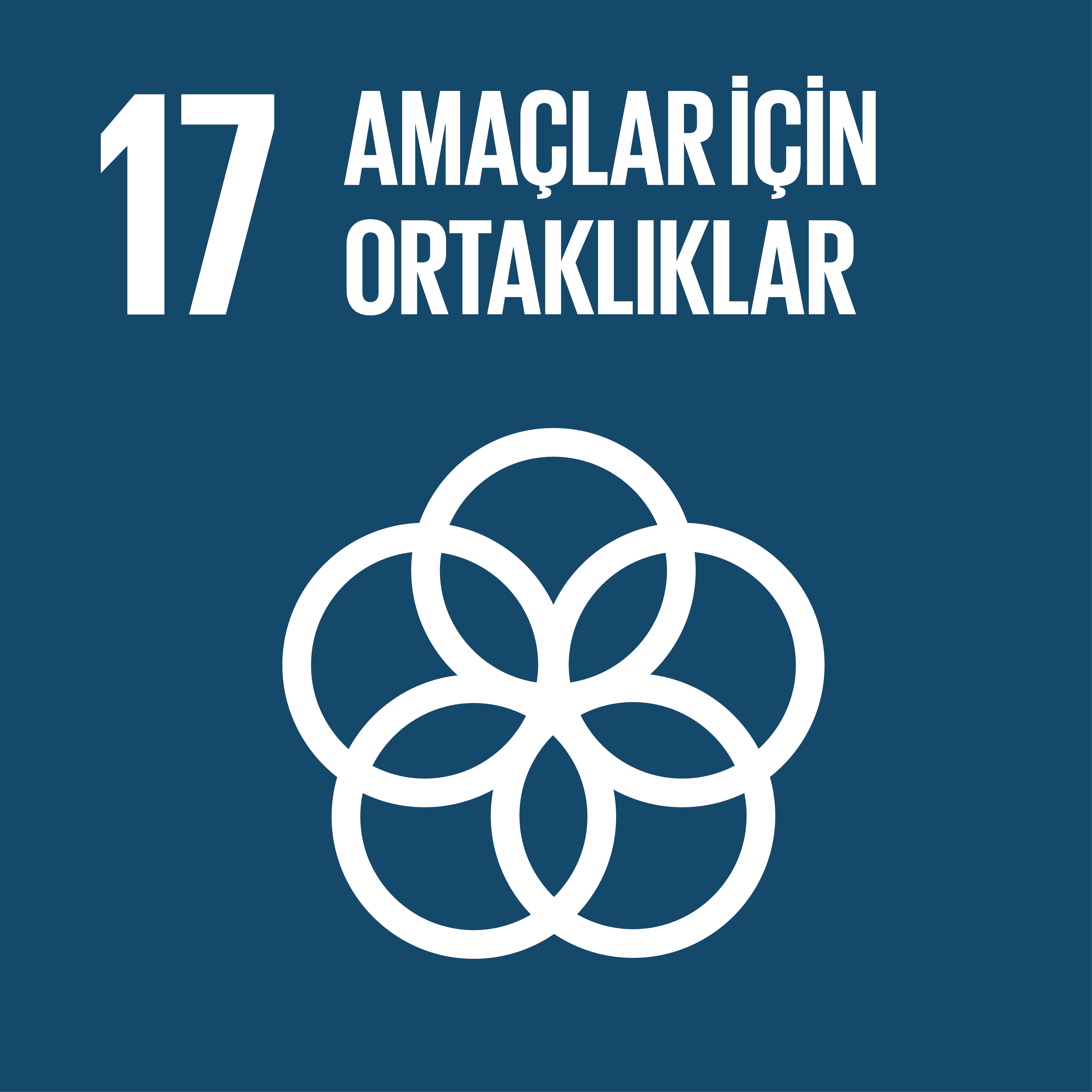 BM Sürdürülebilir Kalkınma Hedefleri ve Temel İlkeleri 35