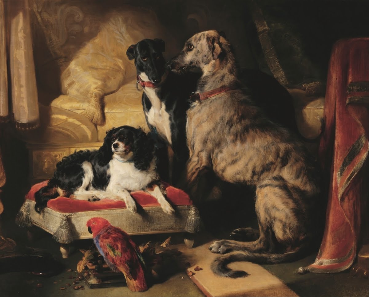 Hector, Nero, and Dash with the parrot, Lory - Söylenti Dergi