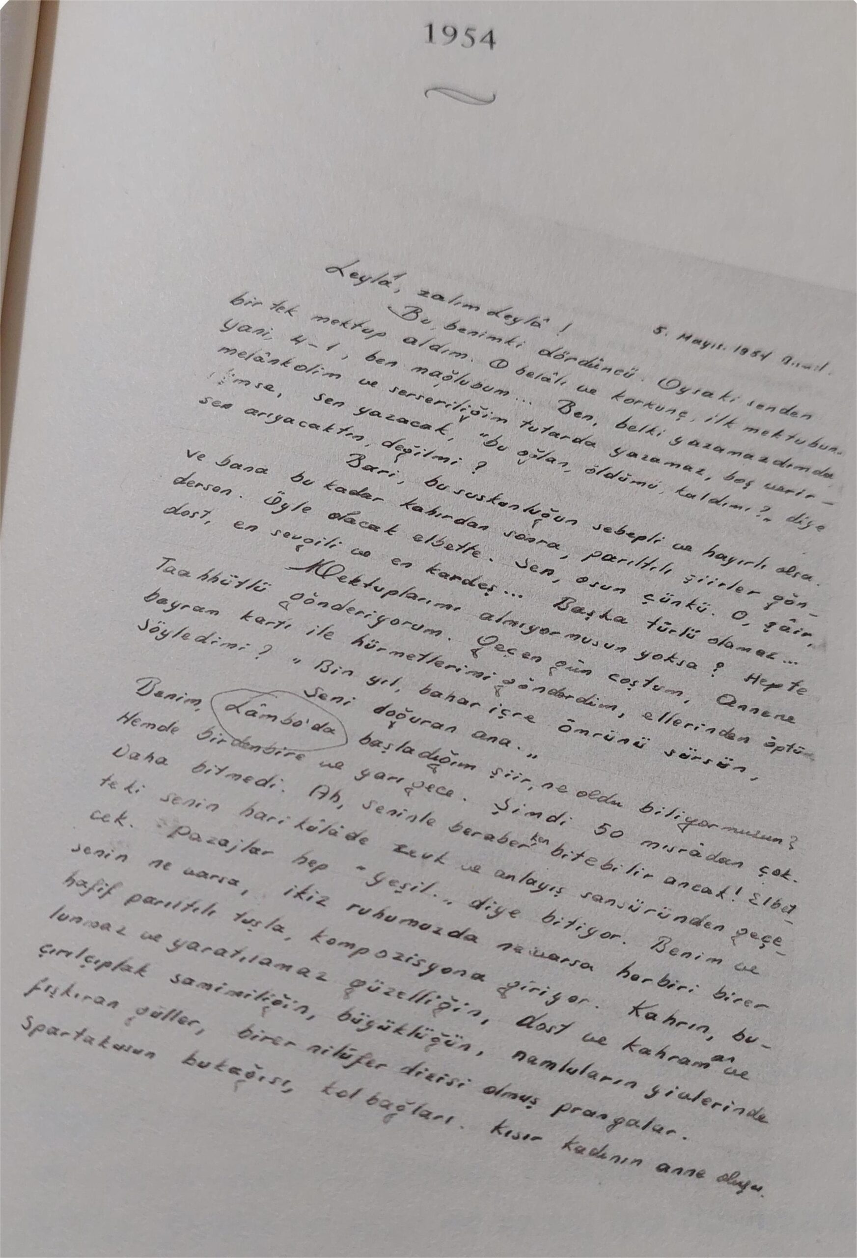 Nahif Aşk: Ahmed Arif ve Leyla Erbil 19