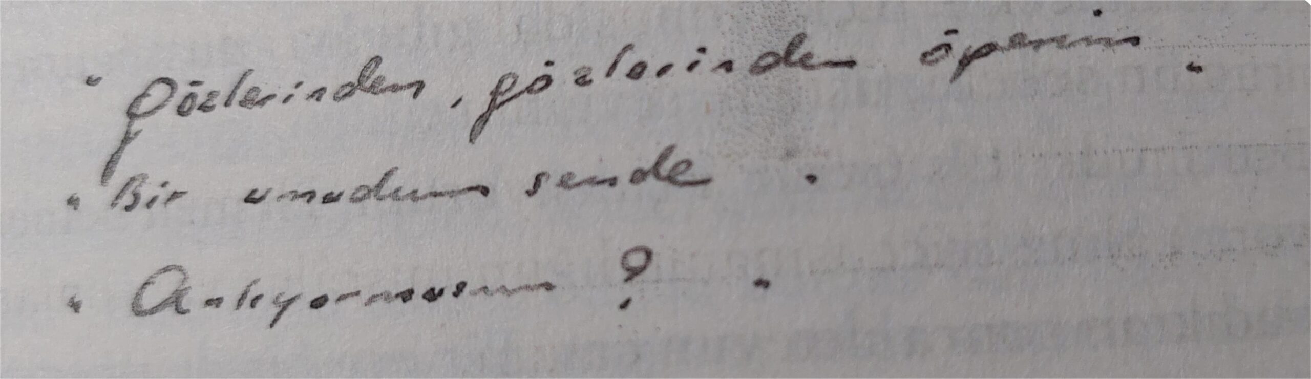 Nahif Aşk: Ahmed Arif ve Leyla Erbil 22