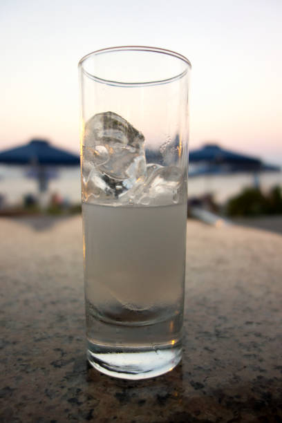 Kültürlerden Esintiler: Türkiye’den Rakı Kültürü 6