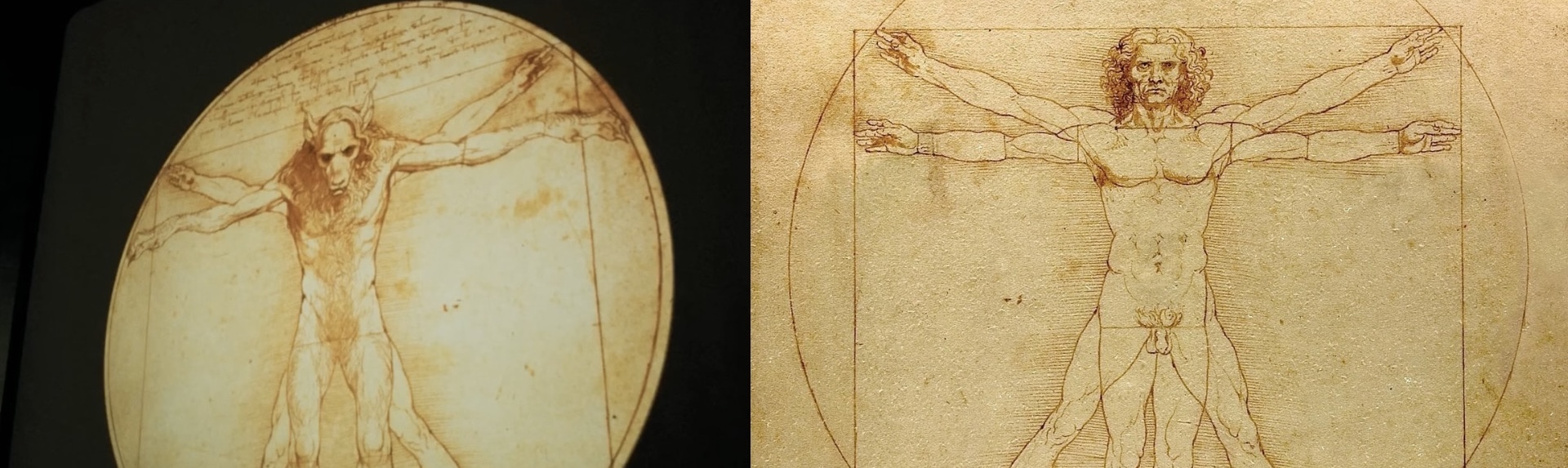 The Vitruvian Man - Söylenti Dergi