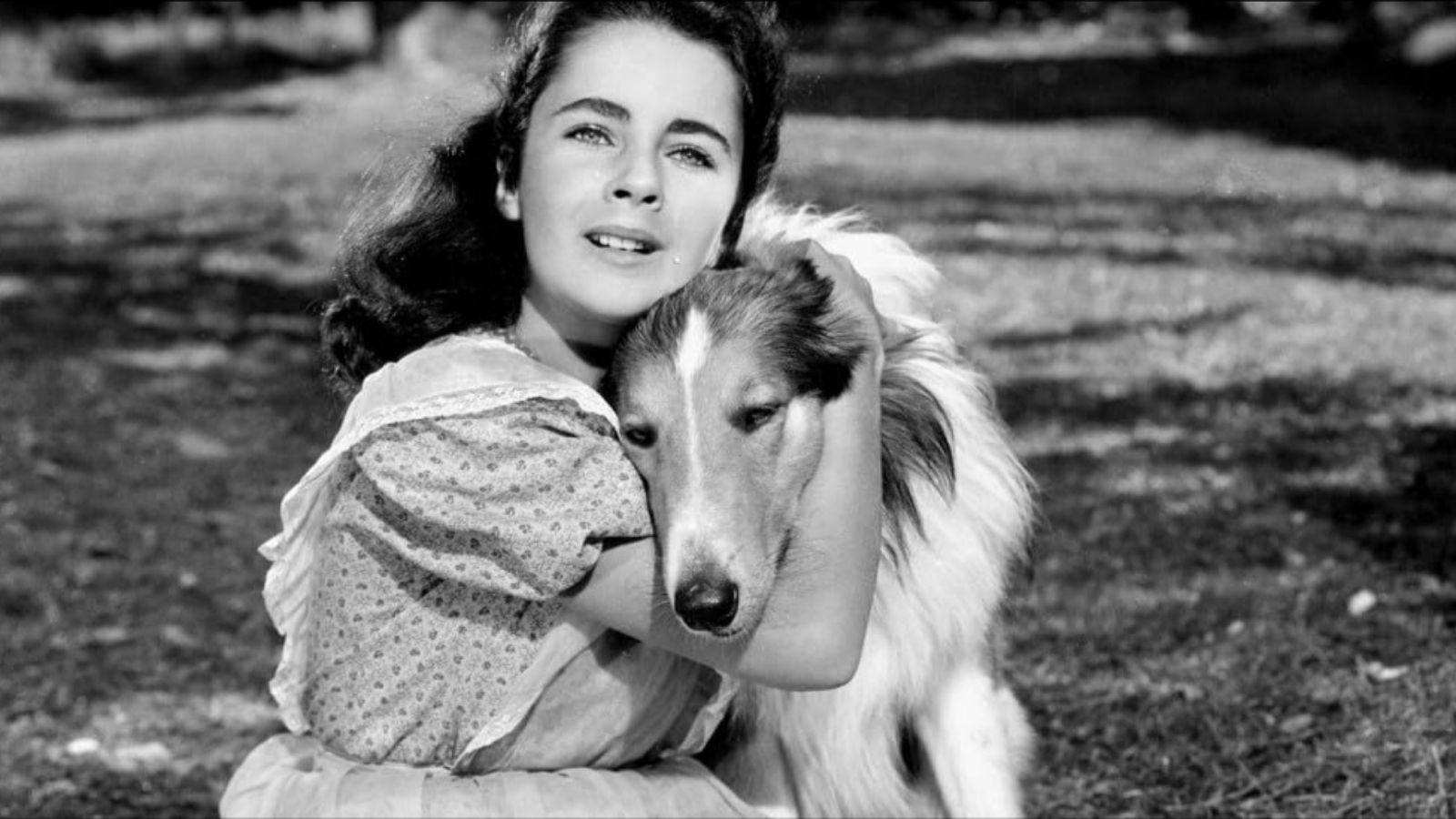 Elizabeth Taylor: Hollywood'un Menekşe Gözlü Oyuncusu 17