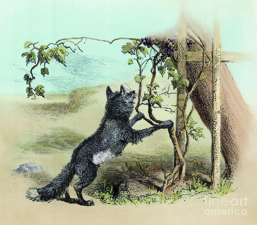 the fox and the grapes - Söylenti Dergi