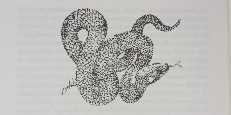 Yılanı Öldürseler Romanında Toplum Baskısı 12