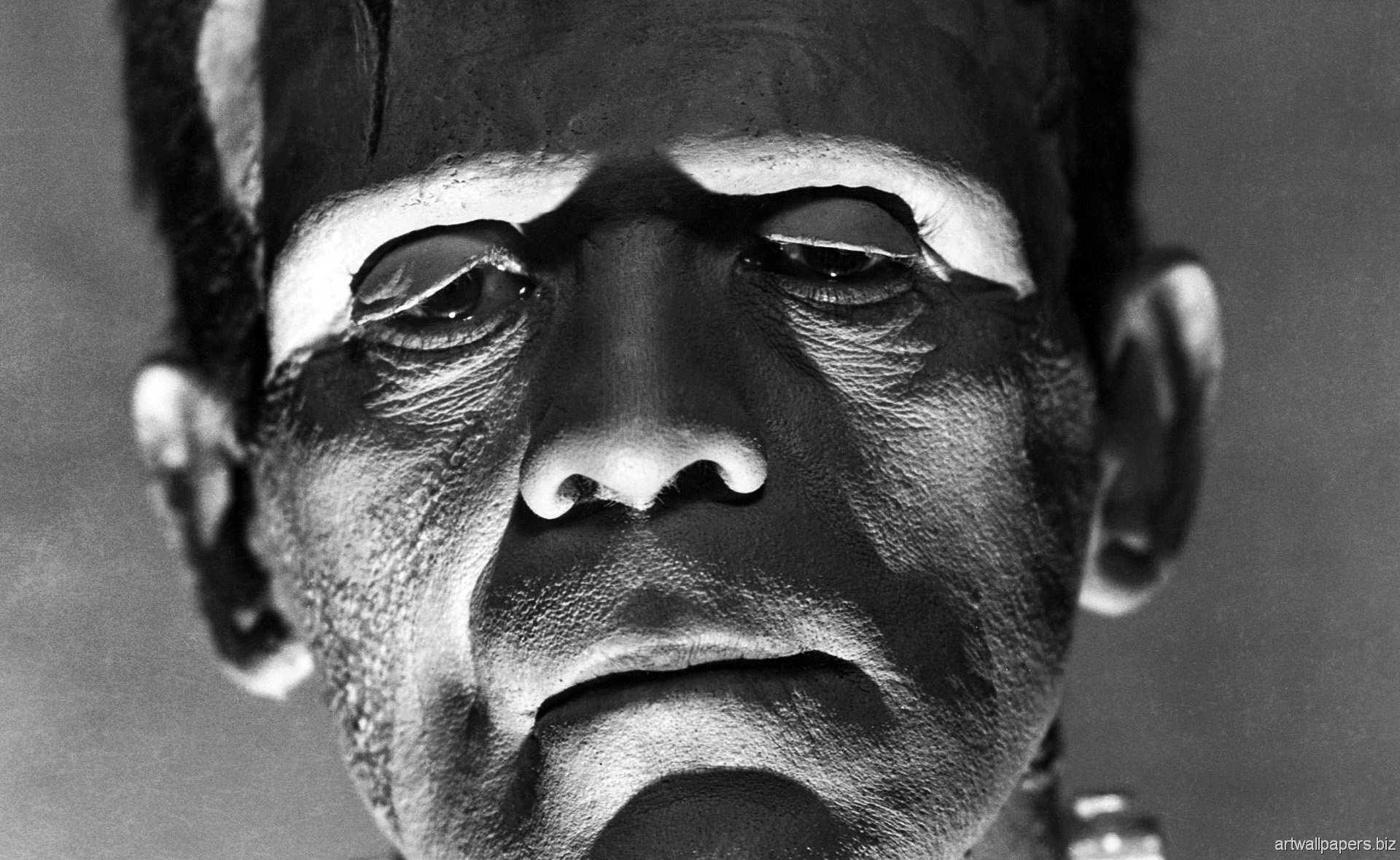 Frankenstein Romanı Psikolojik Analiz: İngiliz Edebiyatı Klasikleri 8