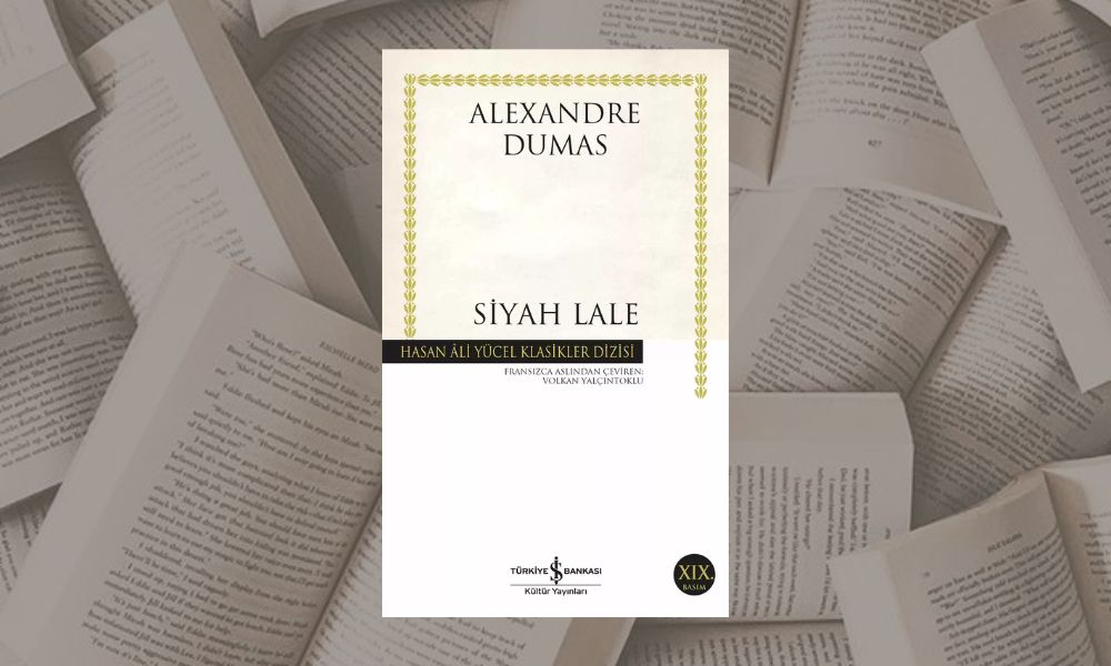 Siyah Lale iskulturcomtr - Söylenti Dergi Siyah Lale, iskultur.com.tr