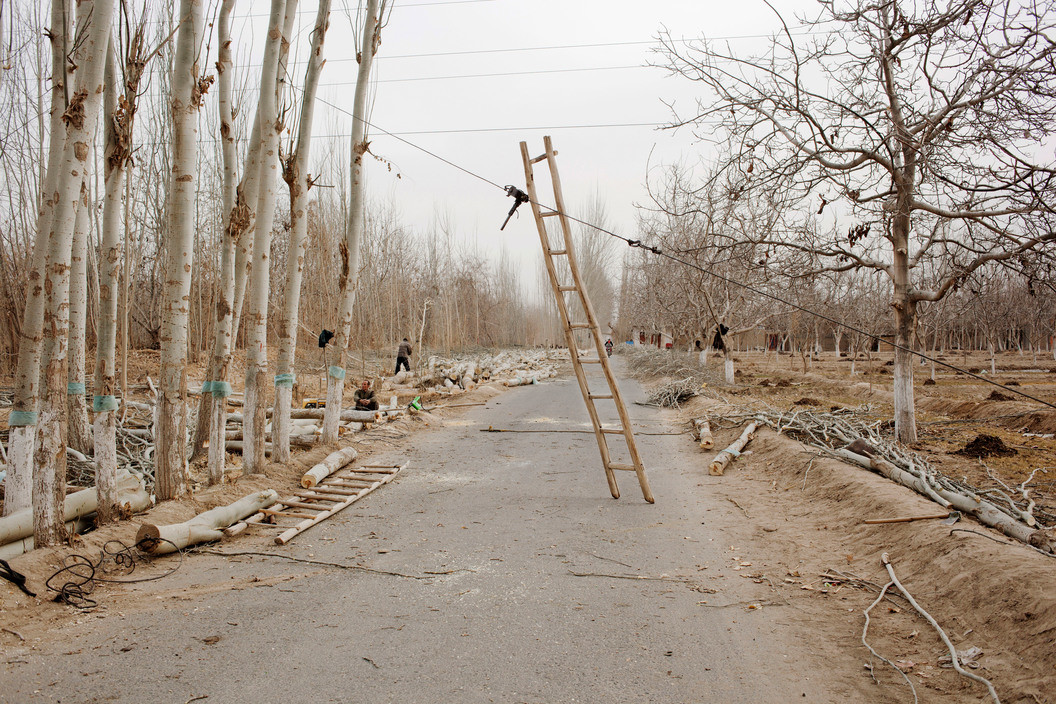 Magnum Fotoğrafçıları: Carolyn Drake'in Kadrajından Dünya 15