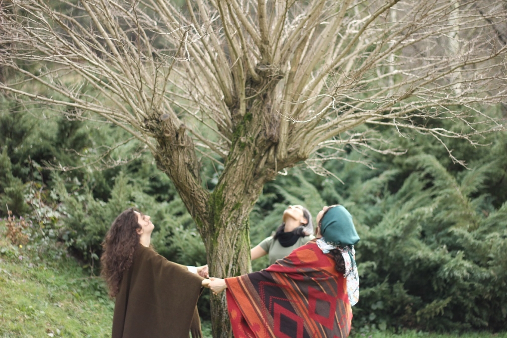 Ekofeminist Hareket ve Sanata Yansımaları 9