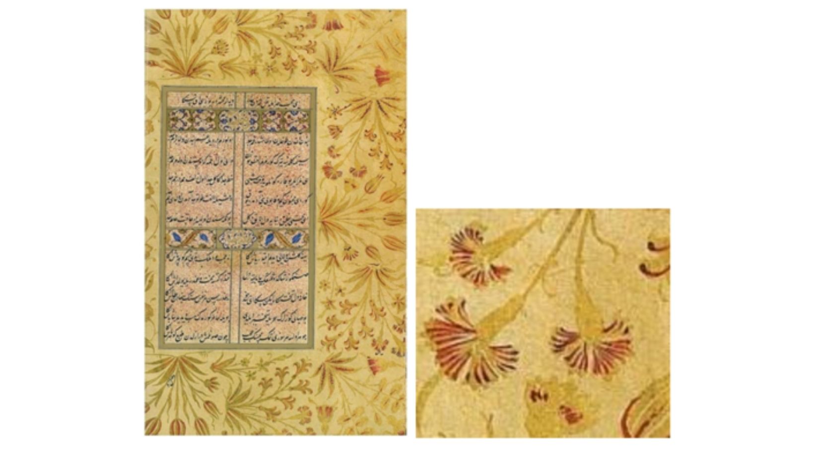 Karanfil Kelimesinin Kökeni Nedir? 9