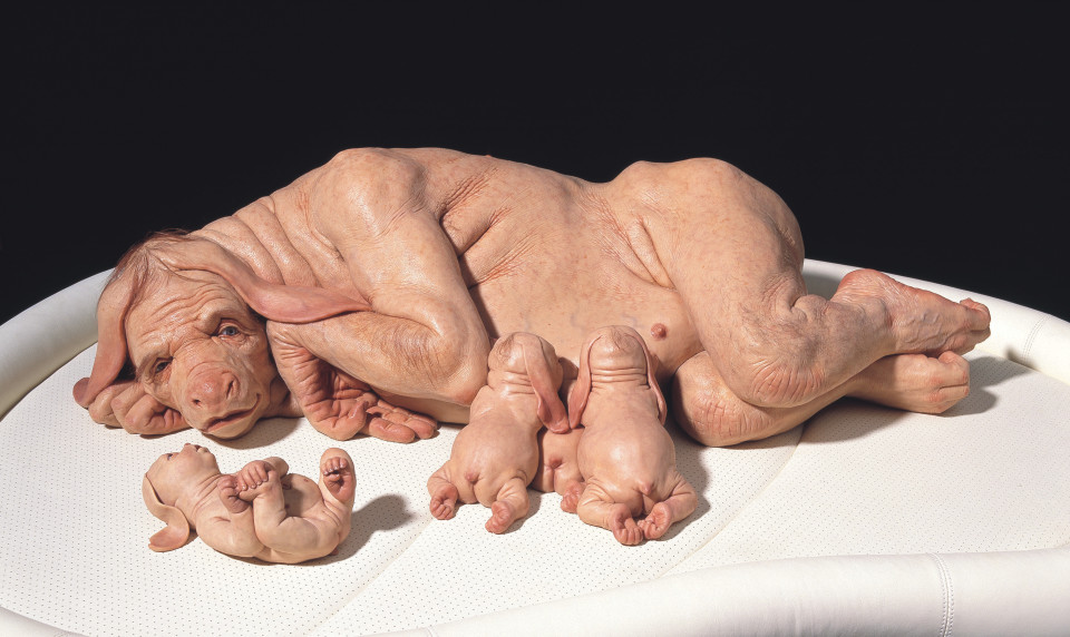 Ekofeminist Hareket ve Sanata Yansımaları 15