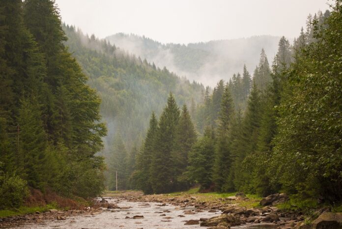 shahkovmax tarafından Pixabay