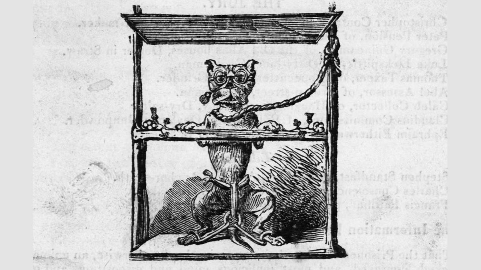 Orta Çağ Avrupası'nda Kediler, Veba ve Hayvan Mahkemeleri