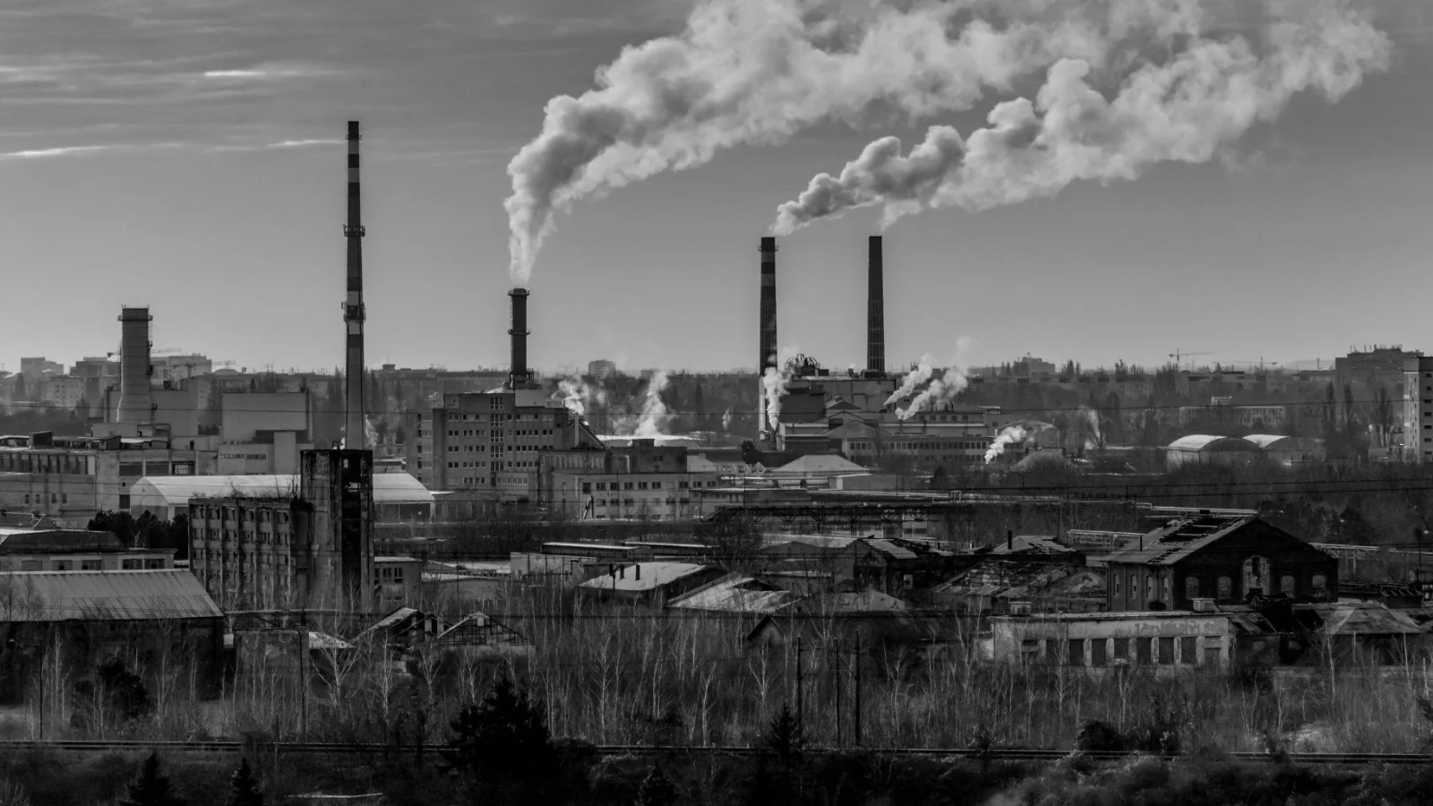 Göç, Beton ve Kalabalık İçinde Şehir Hayatı Nasıl Ortaya Çıktı? 12