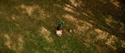 Filmden Kalanlar: Léon'un İkonik Şarkısı "Shape of My Heart" 7