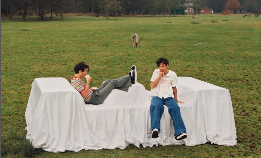 Eve Hoş Geldiniz: Harry’s House Albüm İncelemesi 4