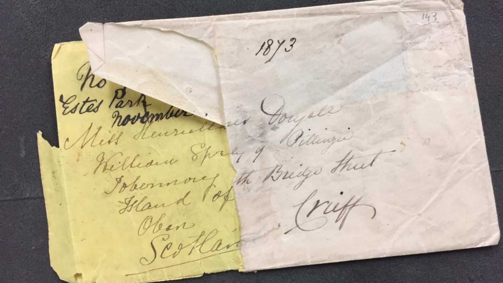 Isabella Bird: Kraliyet Coğrafya Topluluğu'nun İlk Kadın Üyesi 9