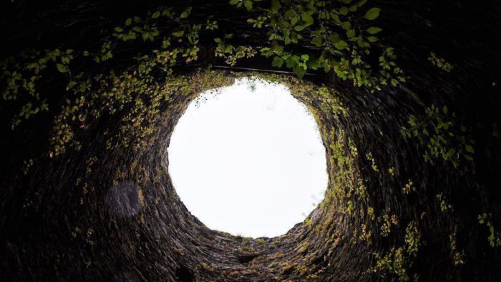 Alıntının Hikâyesi: Geçmişimiz, Geleceğimizi Çizer mi? 7