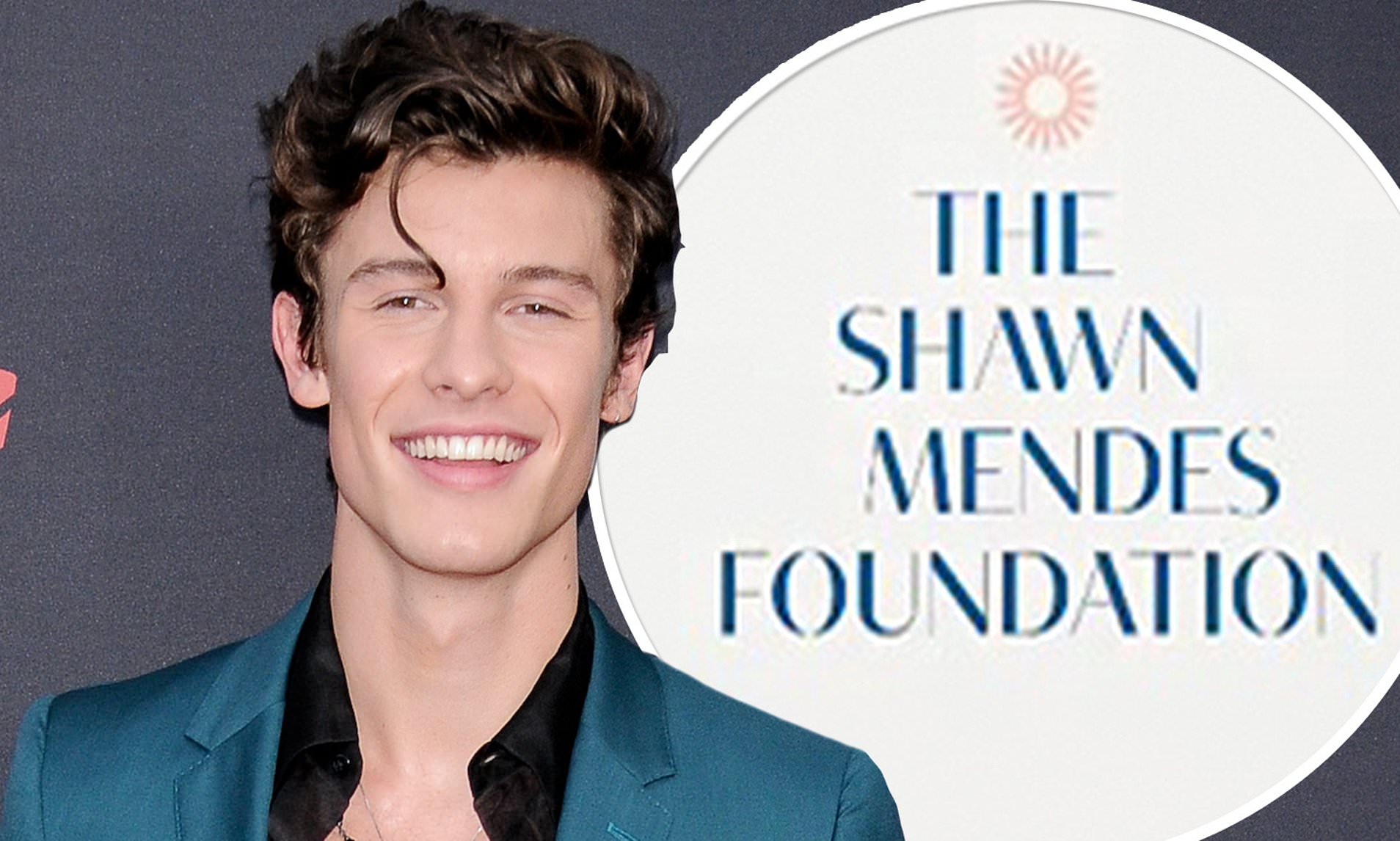 5 Maddede Shawn Mendes'i Yakından Tanıyalım: Pop Müziğin Genç Aktivisti 11