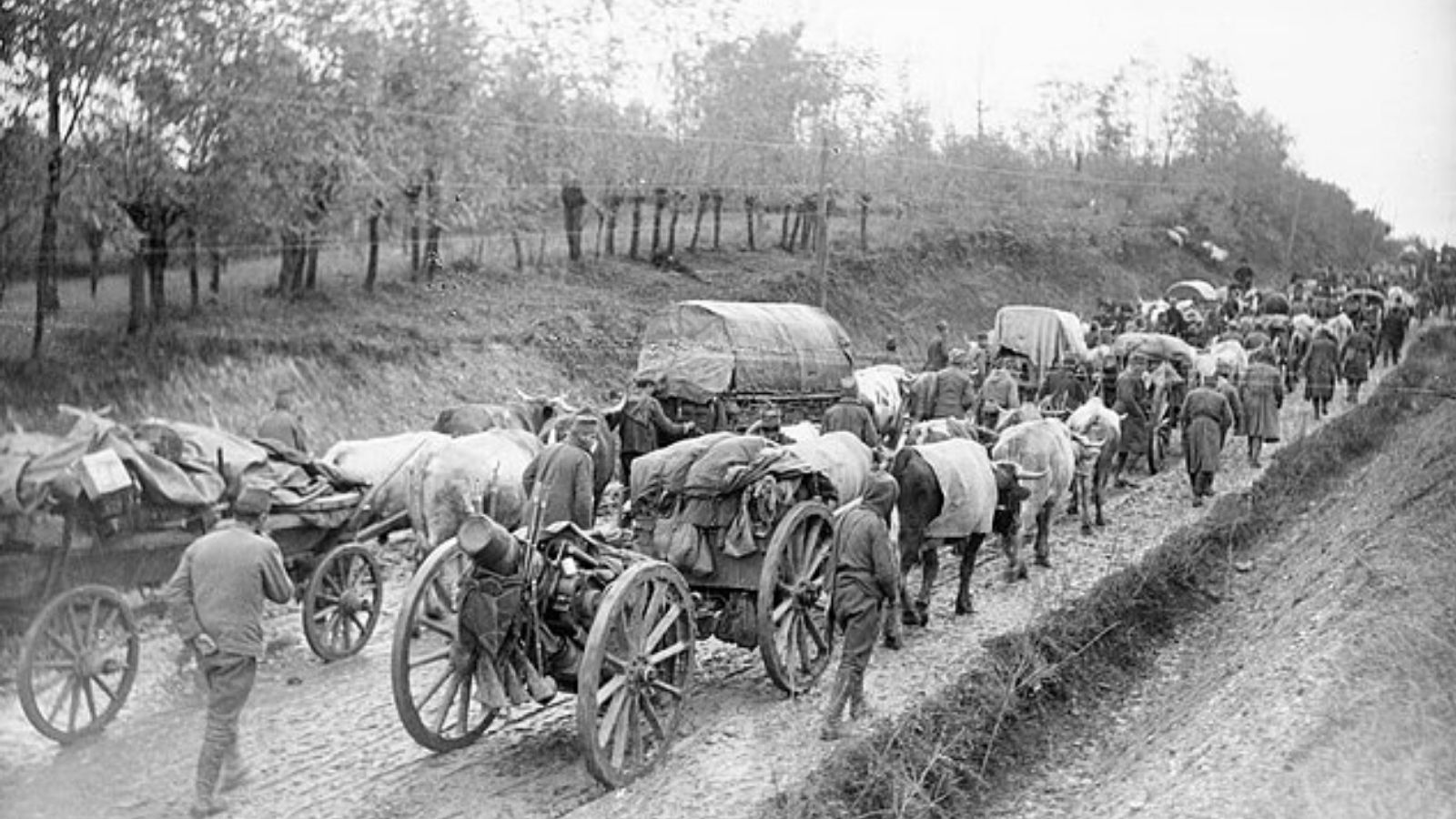 Sırp Ordusunun Arnavutluk kırsalından geri çekilmesi/ Wikiwand 