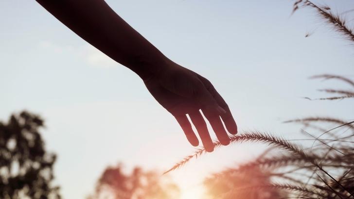 Mutfakta Zihin Egzersizi: Yemek Yapmak ve Mindfulness 10