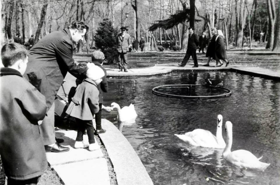 Ankara Mimarisi: Kuğulu Park 9