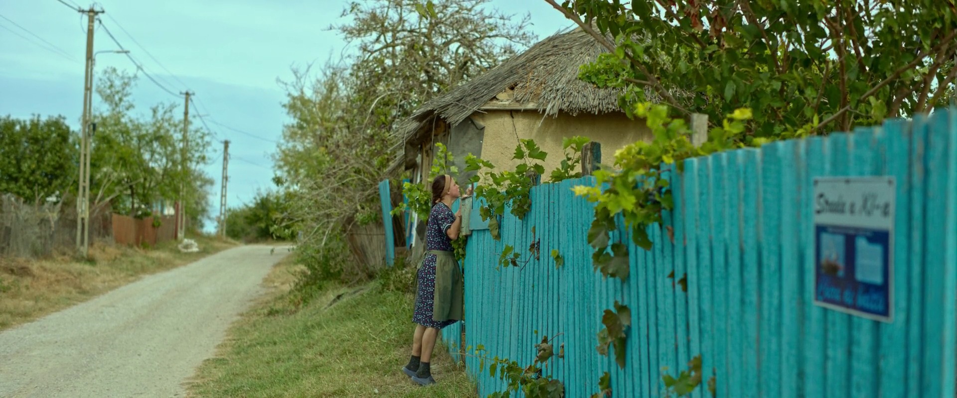 Three Kilometres to the End of the World Film İncelemesi: Utanç 6