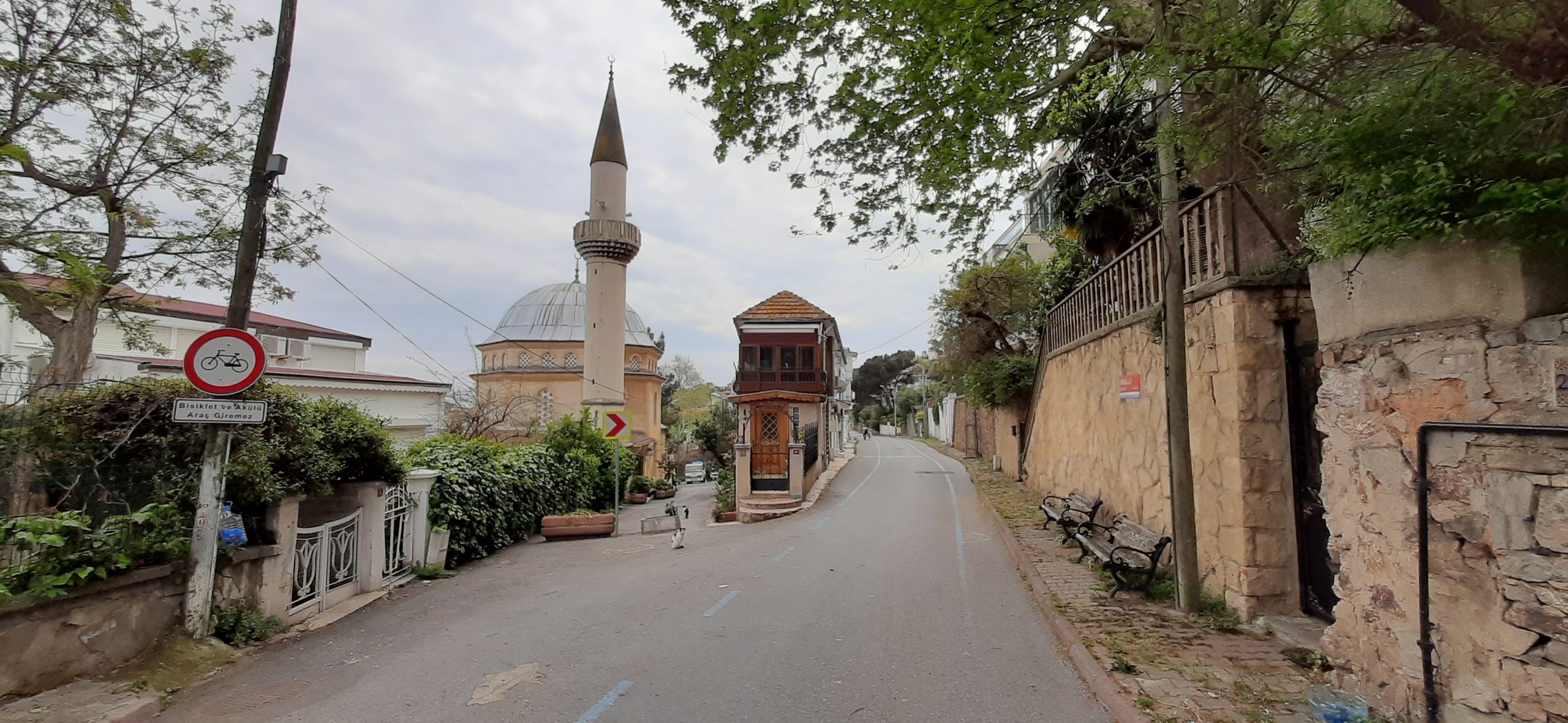 Sait Faik: Adacılığın Ritüellere Yansıması 23