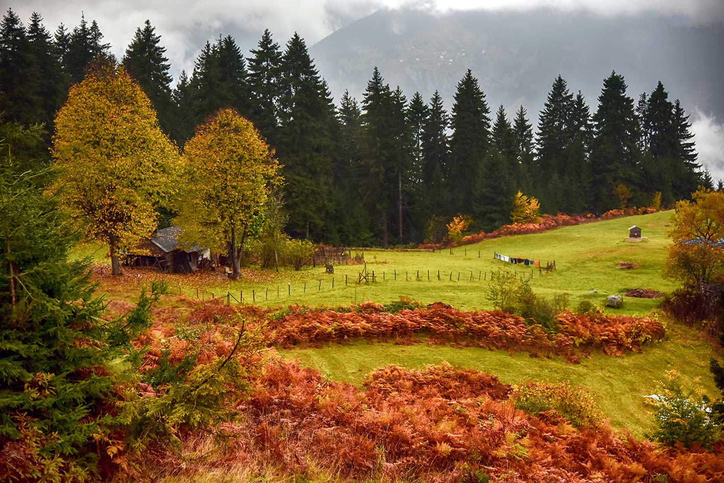 Karadeniz'de Sonbahar: Doğasına Hayran Kalacağınız 7 Yayla 13