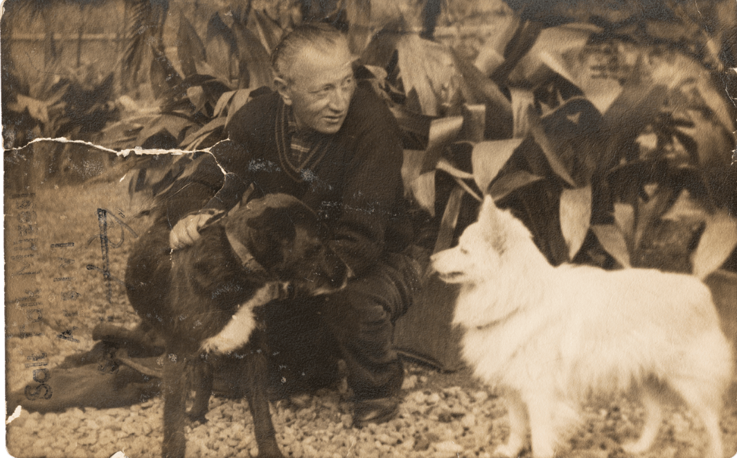 Sait Faik: Adacılığın Ritüellere Yansıması 25